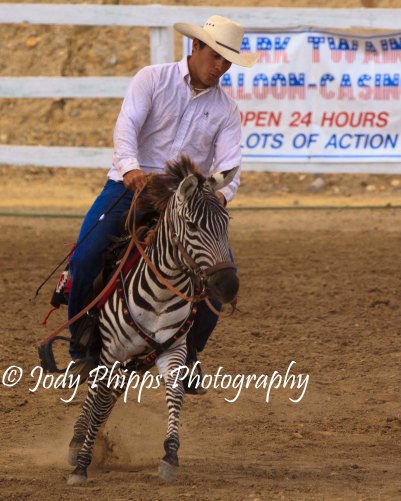 Zebra racing made its debut at the 2012 International Camera Races in Virgina City, Nevada.